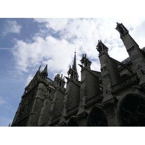 Picture France Paris Notre Dame 2007-05 148 - Tourist Notre Dame