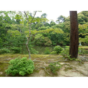 Picture Japan Kyoto Kinkakuji Temple(Golden Pavilion) 2010-06 42 - Car Kinkakuji Temple(Golden Pavilion)