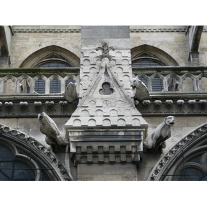 Picture France Paris Notre Dame 2007-05 66 - Photographers Notre Dame