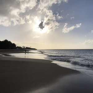 Picture Guadeloupe La Perle Beach 2021-02 78 - Flight La Perle Beach