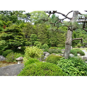 Picture Japan Kyoto Nijo Castle 2010-06 109 - Photographer Nijo Castle