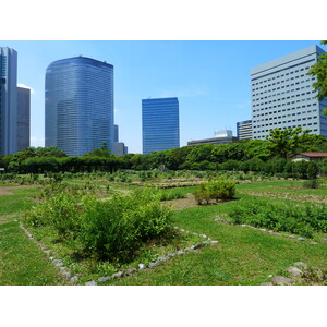 Picture Japan Tokyo Hama rikyu Gardens 2010-06 39 - Car Hama rikyu Gardens