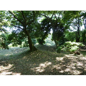 Picture Japan Tokyo Hama rikyu Gardens 2010-06 84 - Randonee Hama rikyu Gardens