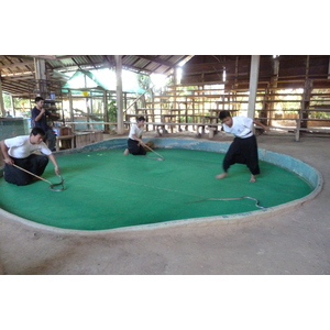 Picture Thailand Chiang Mai Mae Sa Snake Farm 2010-12 76 - Sightseeing Mae Sa Snake Farm