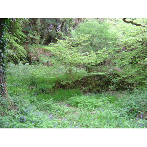 Picture Ireland Kerry Killarney National Park Muckross Lake 2004-05 23 - Flight Muckross Lake