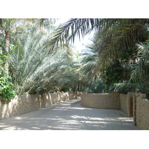 Picture United Arab Emirates Al Ain Al Ain Oasis 2005-03 24 - Trip Al Ain Oasis