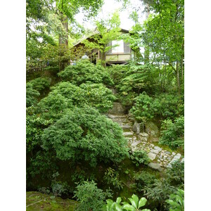 Picture Japan Kyoto Kinkakuji Temple(Golden Pavilion) 2010-06 44 - Picture Kinkakuji Temple(Golden Pavilion)