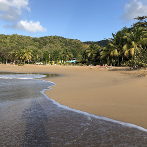 Picture Guadeloupe La Perle Beach 2021-02 55 - Flights La Perle Beach