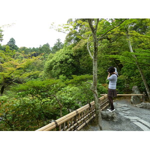 Picture Japan Kyoto Kinkakuji Temple(Golden Pavilion) 2010-06 50 - Flight Kinkakuji Temple(Golden Pavilion)