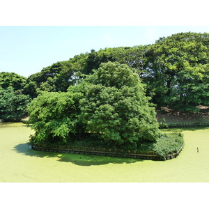 Picture Japan Tokyo Hama rikyu Gardens 2010-06 67 - Trips Hama rikyu Gardens