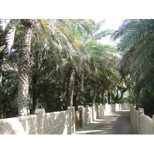 Picture United Arab Emirates Al Ain Al Ain Oasis 2005-03 14 - Store Al Ain Oasis