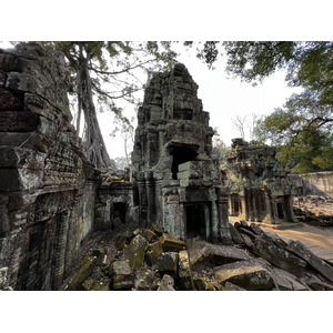 Picture Cambodia Siem Reap Ta Prohm 2023-01 67 - Photographers Ta Prohm