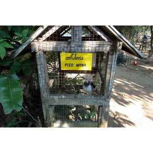 Picture Thailand Chiang Mai Mae Sa Snake Farm 2010-12 19 - Store Mae Sa Snake Farm