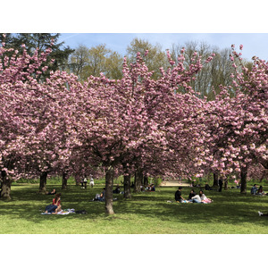 Picture France Parc de Sceaux 2019-04 64 - Photographer Parc de Sceaux