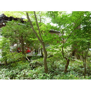 Picture Japan Kyoto Kinkakuji Temple(Golden Pavilion) 2010-06 34 - Tourist Kinkakuji Temple(Golden Pavilion)