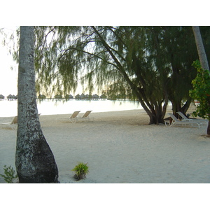 Picture Polynesia Meridien Bora Bora Hotel 2006-04 120 - Journey Meridien Bora Bora Hotel