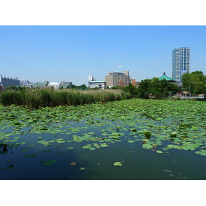 Picture Japan Tokyo Ueno 2010-06 62 - Photo Ueno