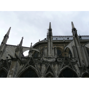 Picture France Paris Notre Dame 2007-05 80 - Pictures Notre Dame