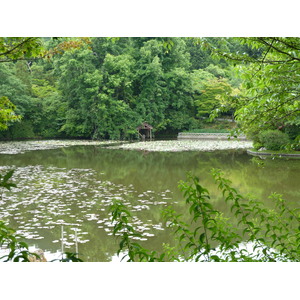 Picture Japan Kyoto Ryoanji Temple 2010-06 66 - Photo Ryoanji Temple