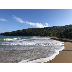 Picture Guadeloupe La Perle Beach 2021-02 103 - Picture La Perle Beach