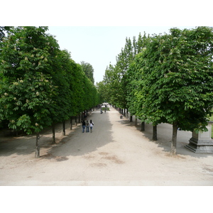 Picture France Paris Garden of Tuileries 2007-05 291 - Photographer Garden of Tuileries