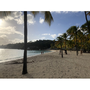 Picture Guadeloupe La Caravelle Beach 2021-02 58 - Pictures La Caravelle Beach