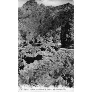 Picture France Corsica Old Postcards 1900-01 27 - Photographer Old Postcards