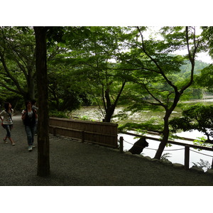 Picture Japan Kyoto Ryoanji Temple 2010-06 58 - Tourist Ryoanji Temple