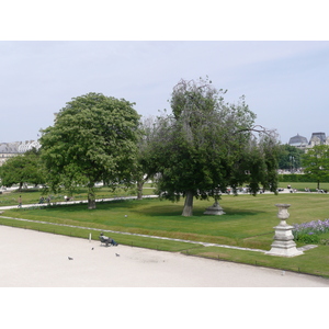 Picture France Paris Garden of Tuileries 2007-05 270 - Pictures Garden of Tuileries