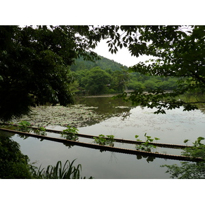 Picture Japan Kyoto Ryoanji Temple 2010-06 72 - Discover Ryoanji Temple