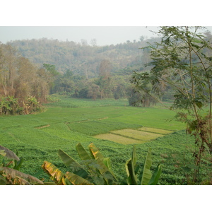 Picture Thailand Chiang Mai to Pai road 2007-02 0 - Views Chiang Mai to Pai road