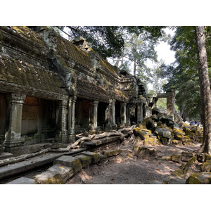 Picture Cambodia Siem Reap Ta Prohm 2023-01 34 - Flight Ta Prohm