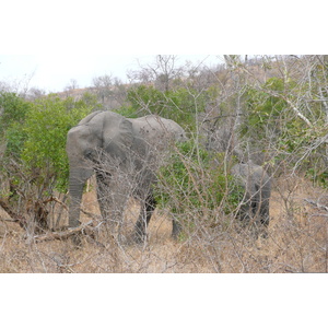 Picture South Africa Kruger National Park 2008-09 68 - Road Map Kruger National Park