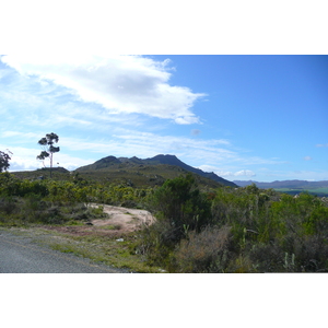 Picture South Africa Harmanus to Knysna road 2008-09 36 - Trips Harmanus to Knysna road