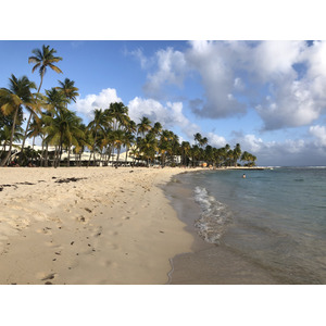 Picture Guadeloupe La Caravelle Beach 2021-02 122 - Photos La Caravelle Beach