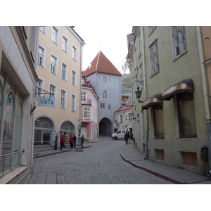 Picture Estonia Tallinn Old Tallinn 2009-04 91 - Store Old Tallinn