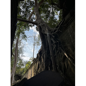 Picture Cambodia Siem Reap Ta Prohm 2023-01 4 - Visit Ta Prohm