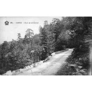 Picture France Corsica Old Postcards 1900-01 241 - Tourist Old Postcards