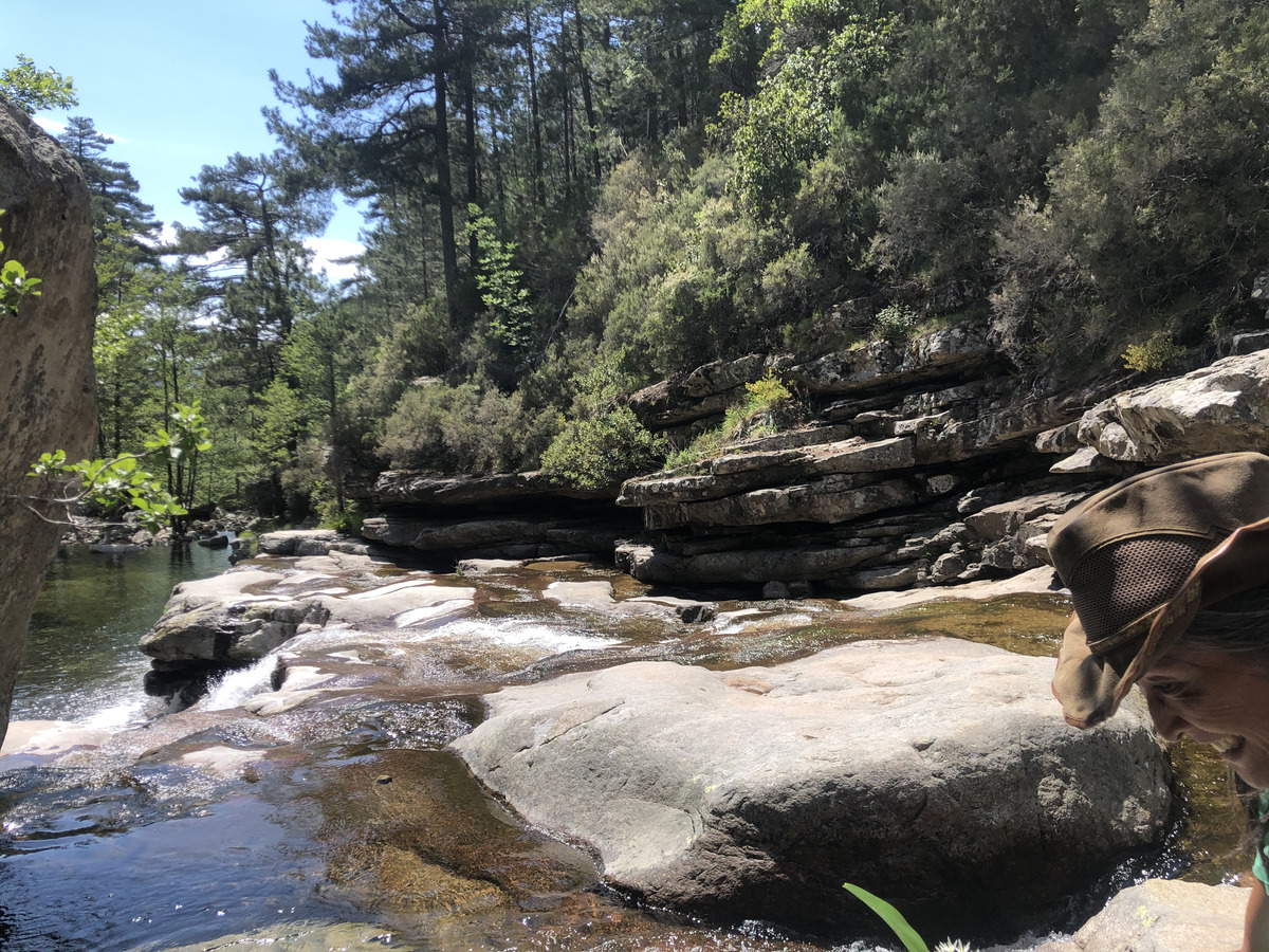 Picture France Corsica Aitone Forest 2021-06 30 - Hotel Pools Aitone Forest