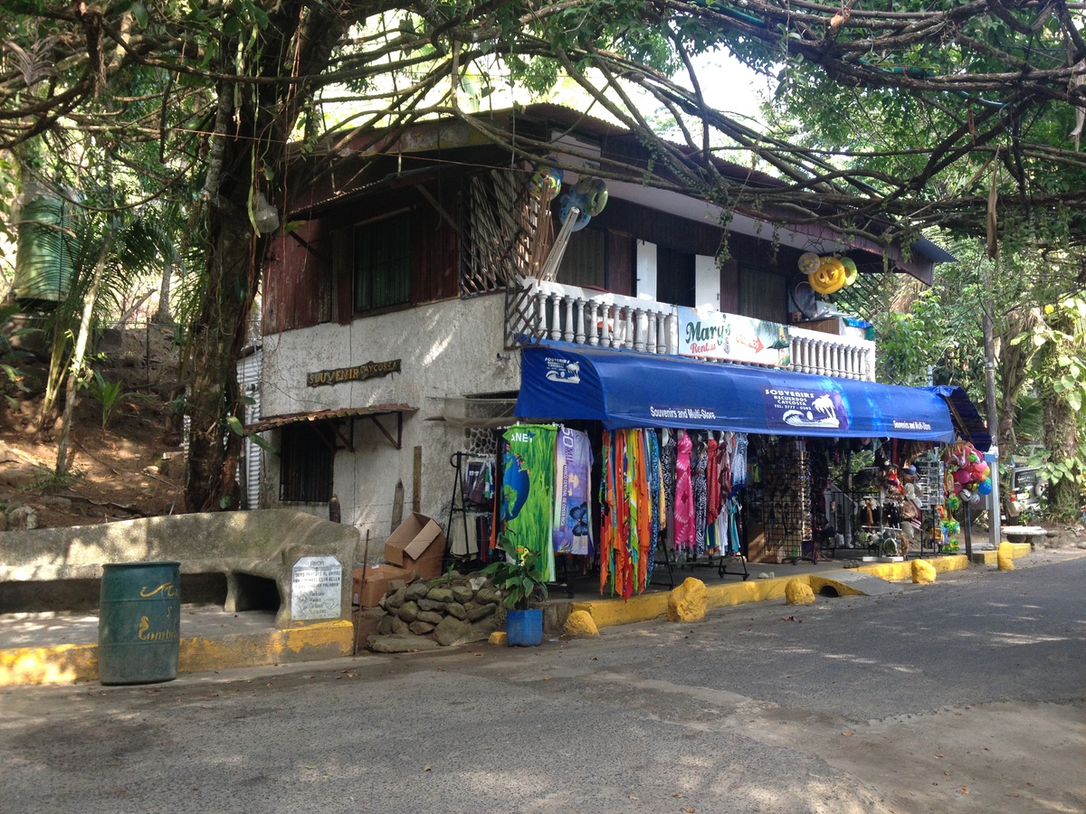 Picture Costa Rica Manuel Antonio 2015-03 329 - Monument Manuel Antonio