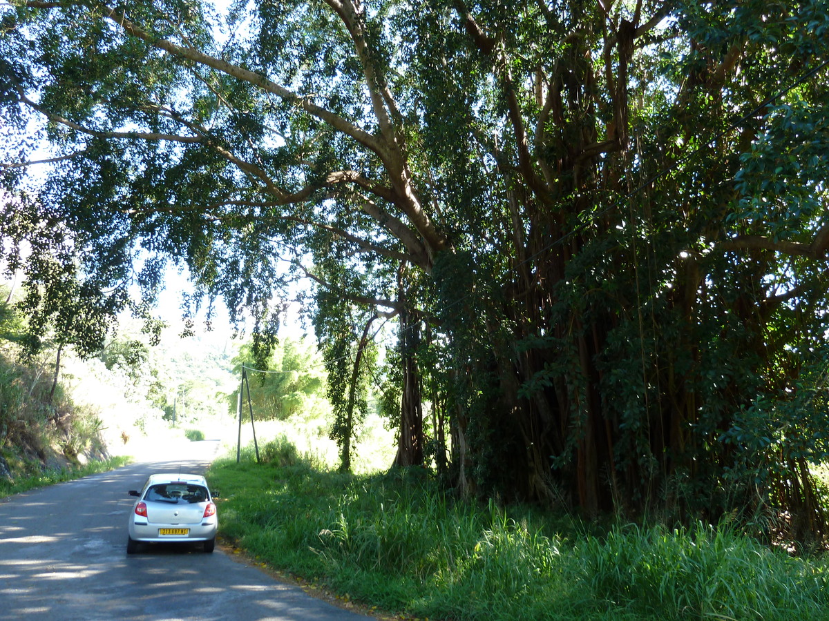 Picture New Caledonia Canala to La Foa road 2010-05 65 - Weather Canala to La Foa road