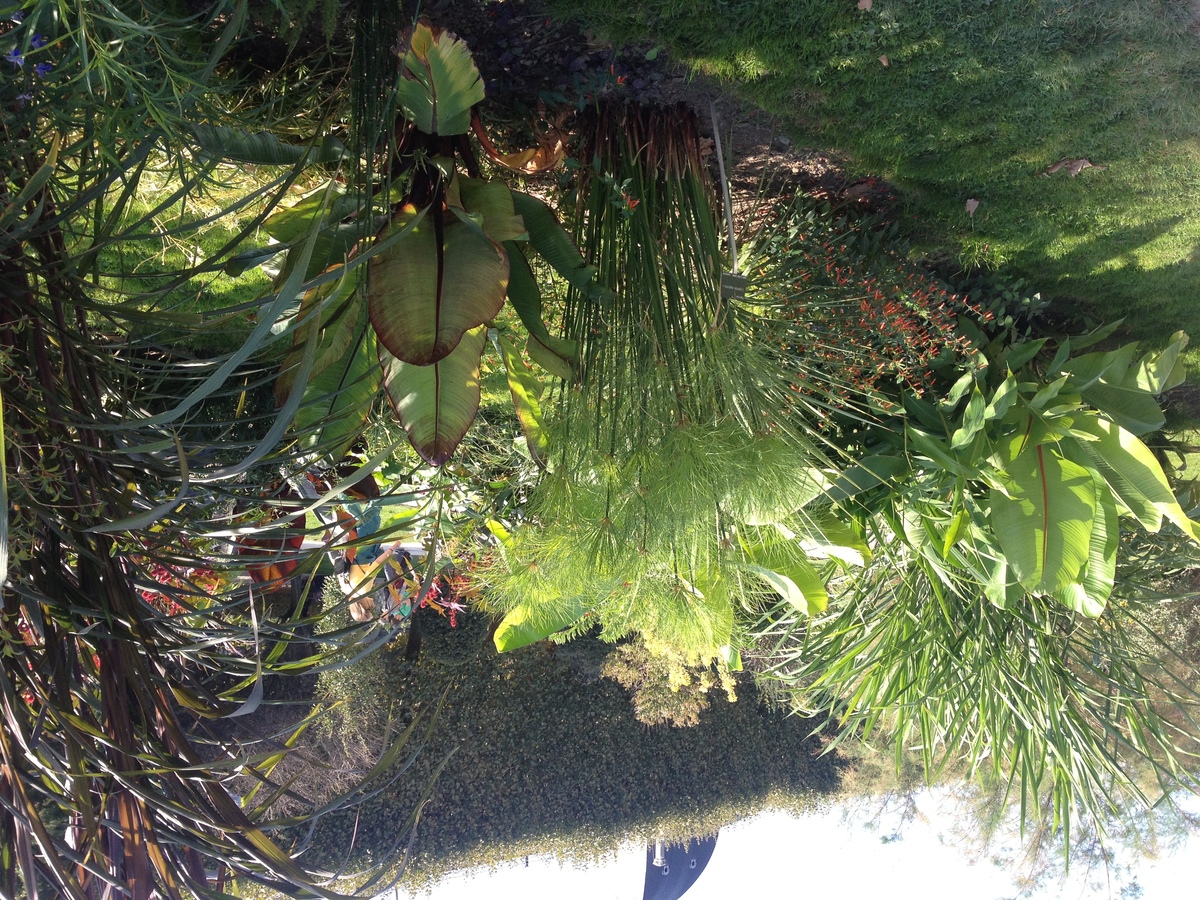 Picture France Paris Jardin des Plantes 2014-09 6 - Lake Jardin des Plantes