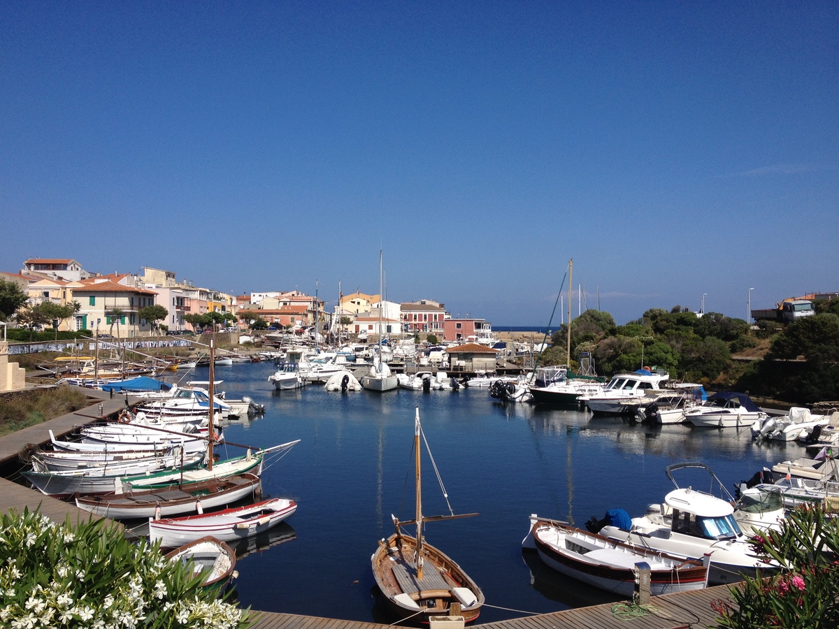 Picture Italy Sardinia Capo del Falcone 2015-06 23 - Rain Season Capo del Falcone