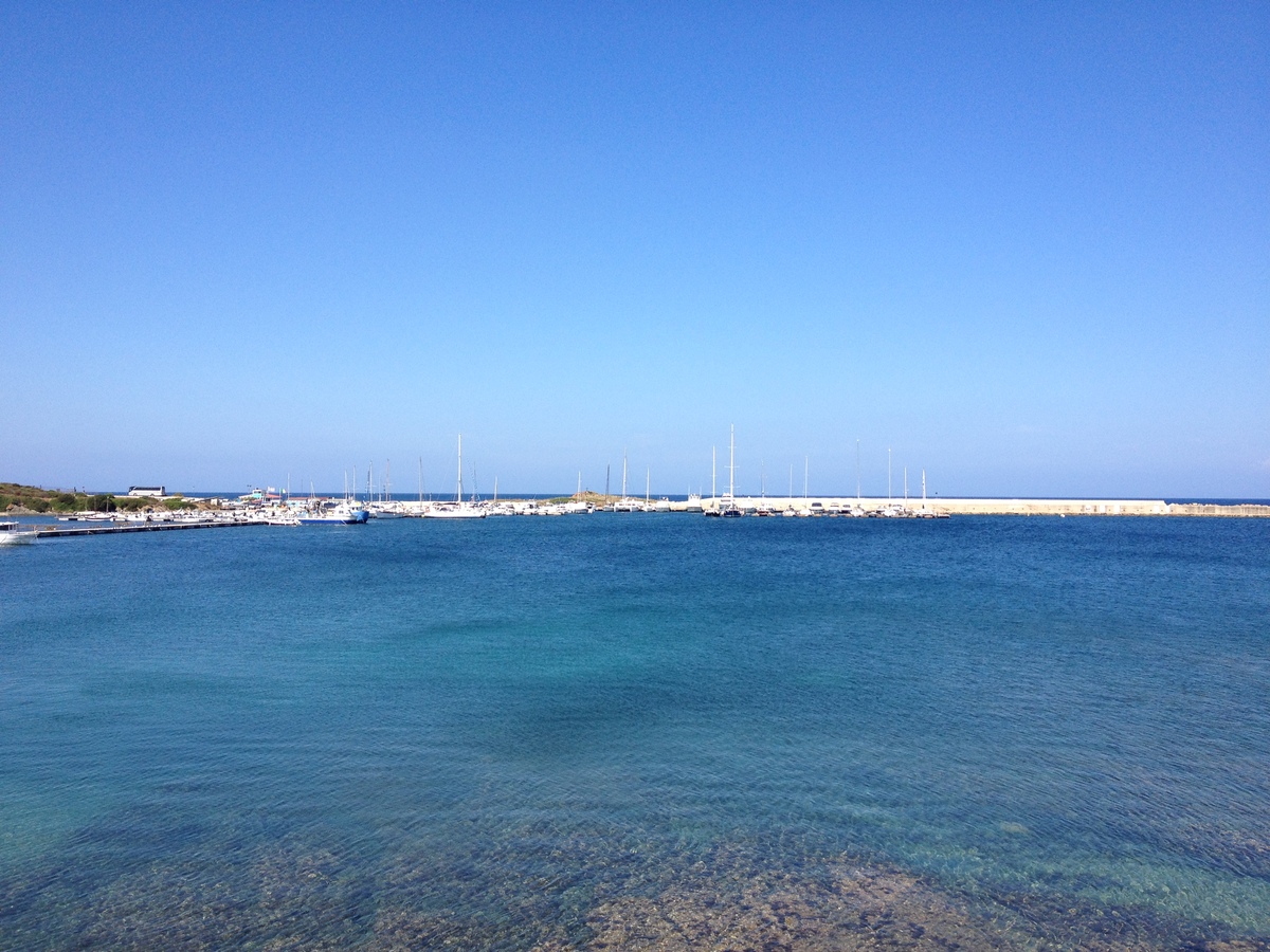 Picture Italy Sardinia Capo del Falcone 2015-06 24 - Rain Season Capo del Falcone