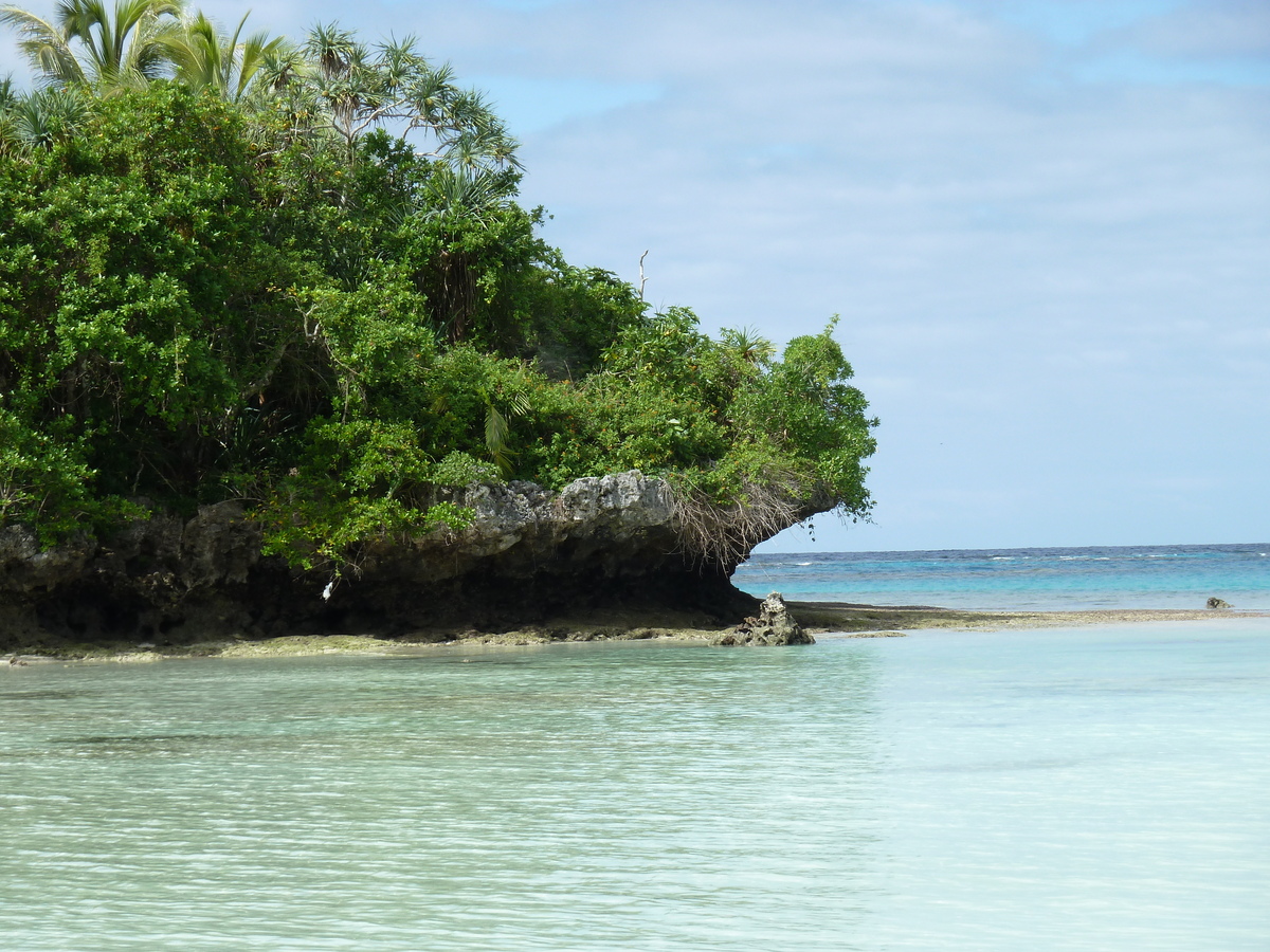 Picture New Caledonia Lifou Baie des tortues 2010-05 27 - Monument Baie des tortues