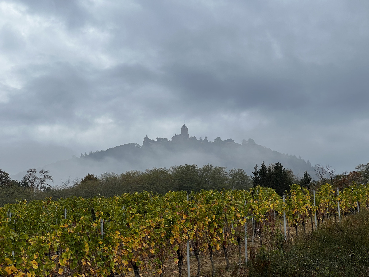 Picture France Koenigsbourg Castle 2023-10 20 - Weather Koenigsbourg Castle