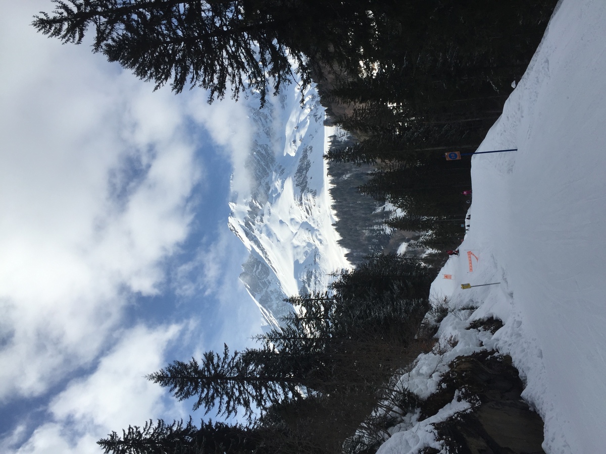 Picture France Megeve 2016-02 67 - Winter Megeve