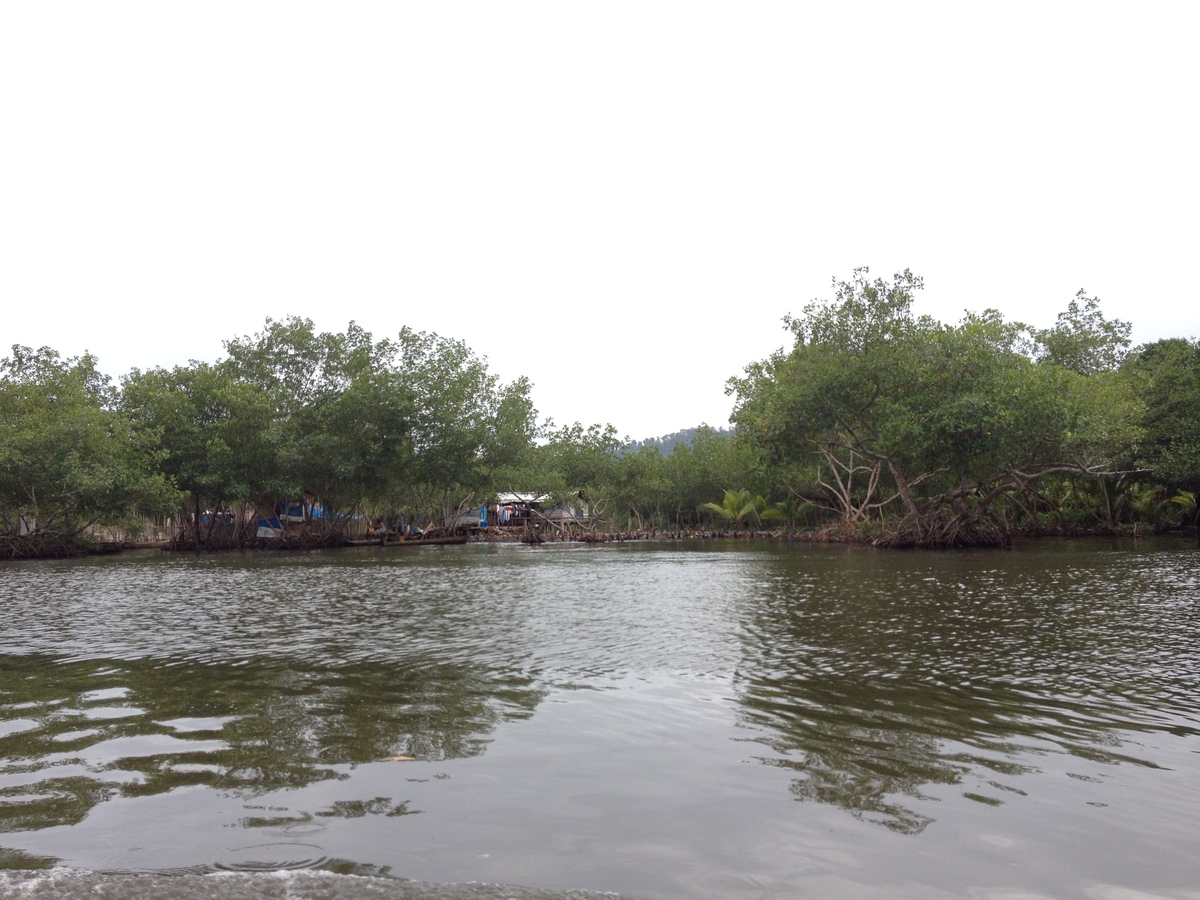 Picture Panama David to Bocas del toro 2015-03 8 - Street David to Bocas del toro