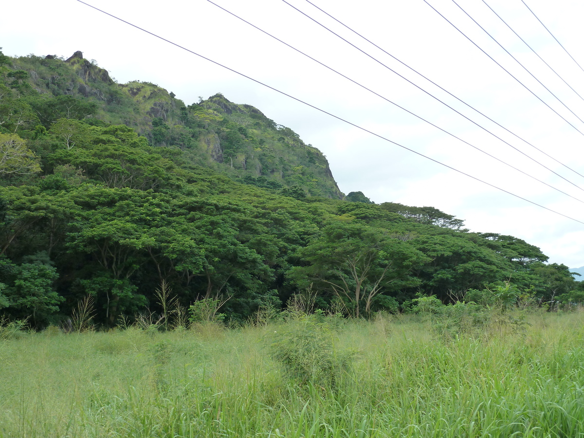 Picture Fiji Nadi to Lautoka road 2010-05 13 - Rentals Nadi to Lautoka road