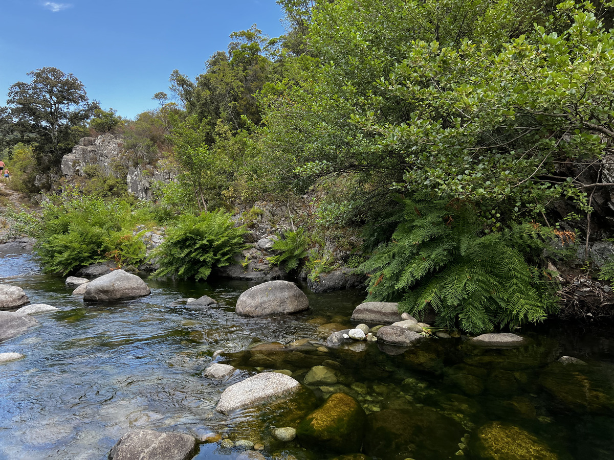 Picture France Corsica Chisa 2022-07 50 - Waterfall Chisa